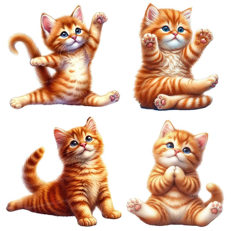 Yoga Cat  Wall Sticker Removab - Lighting Mcqueen Bedroom Decor review and price