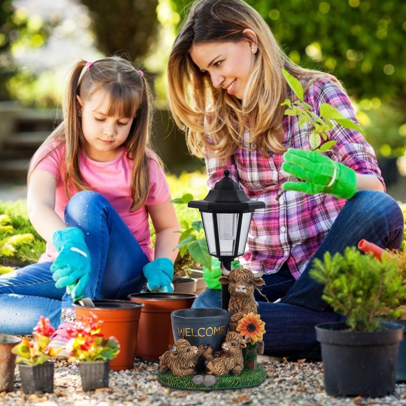 Solar Lawn Ornaments Decorativ - Up Lighting Decor review and price